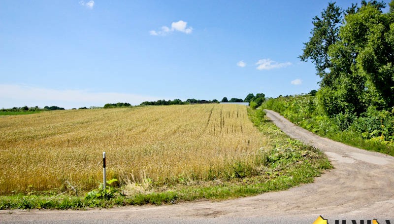 IMG_6848